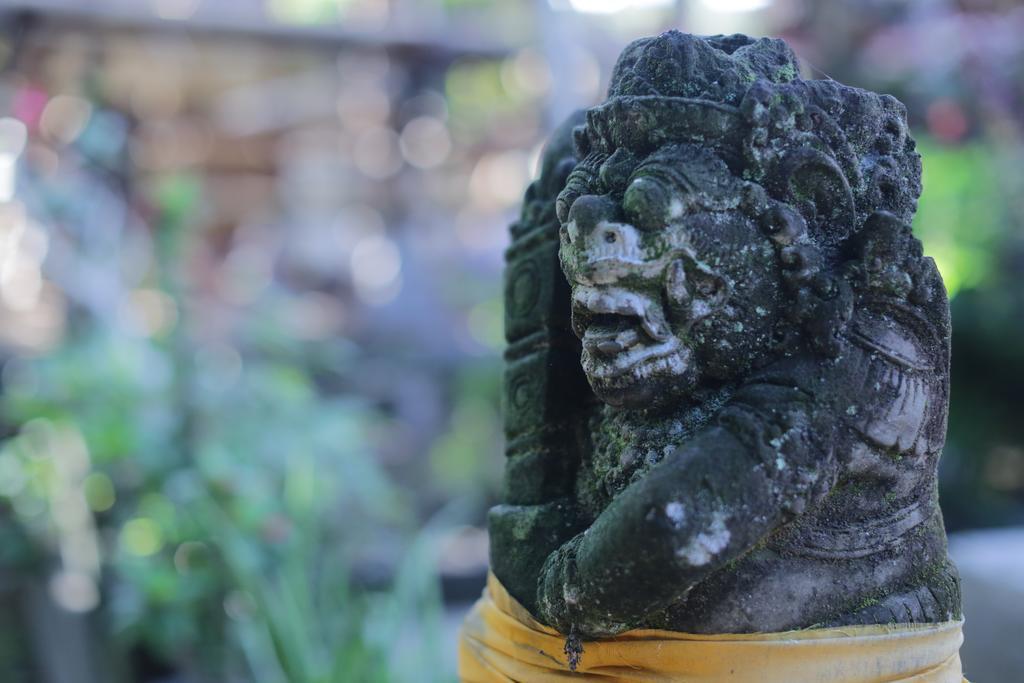 Karang Mesari Ubud Guest House Luaran gambar