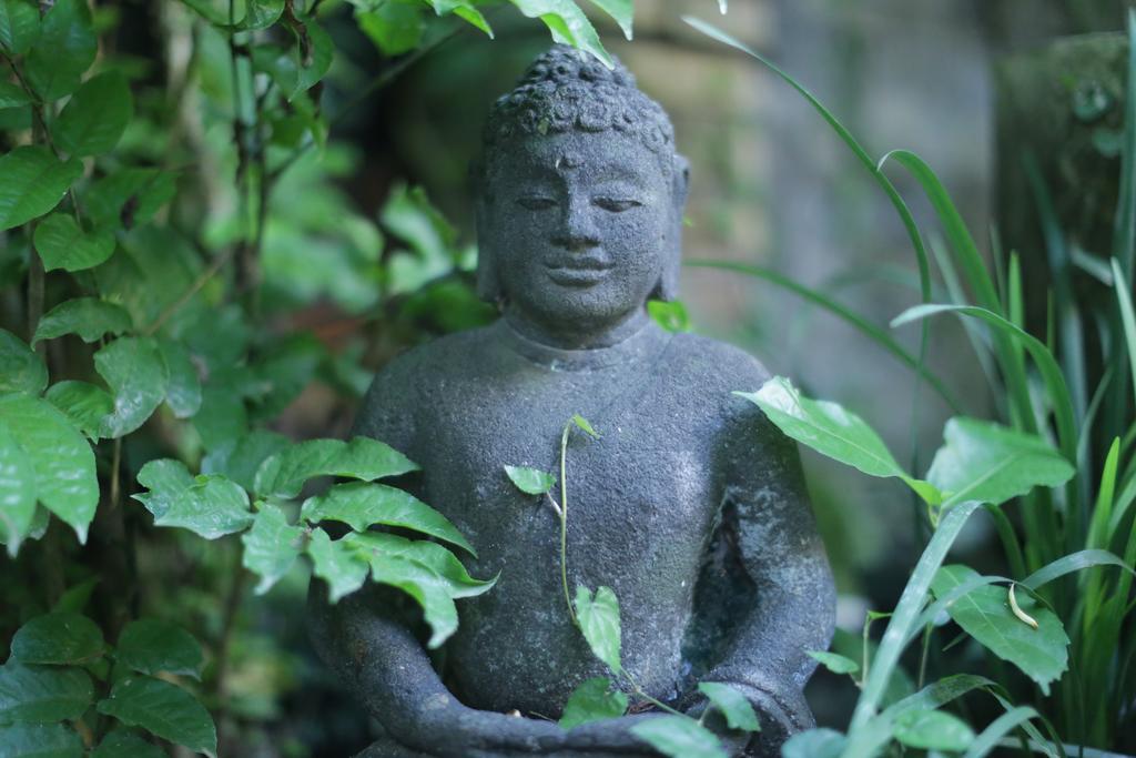 Karang Mesari Ubud Guest House Luaran gambar