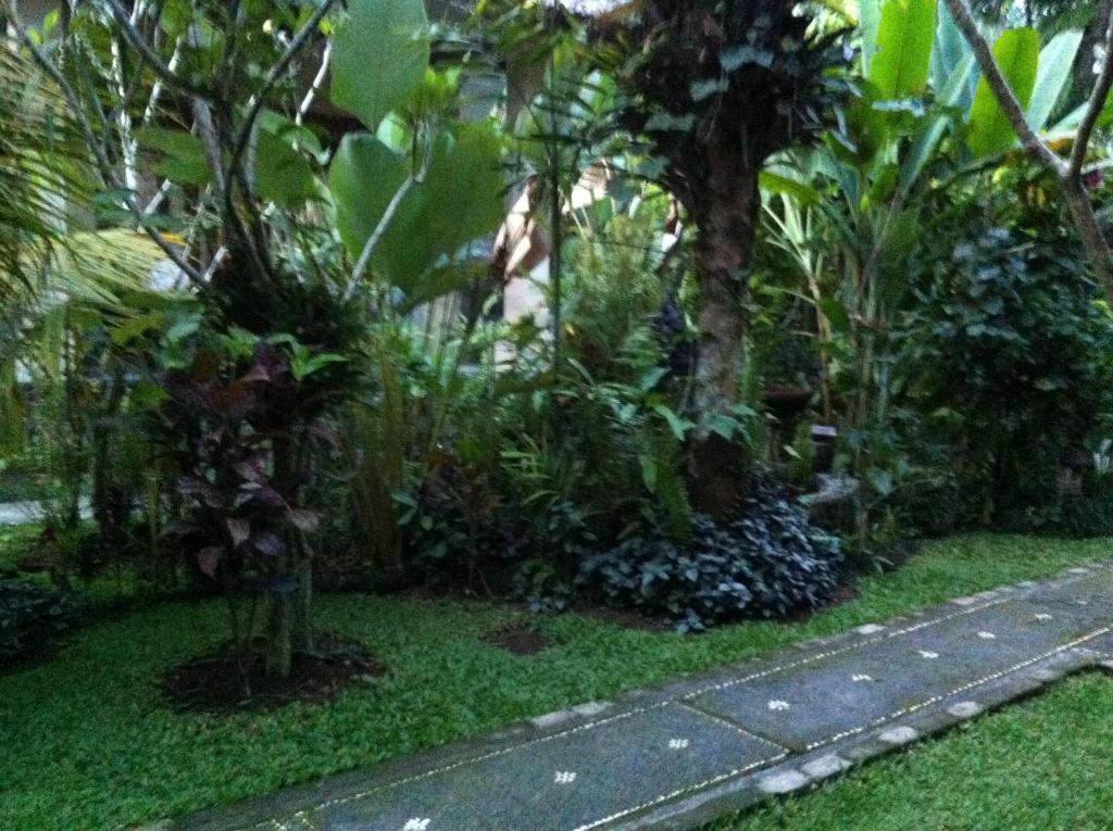 Karang Mesari Ubud Guest House Luaran gambar